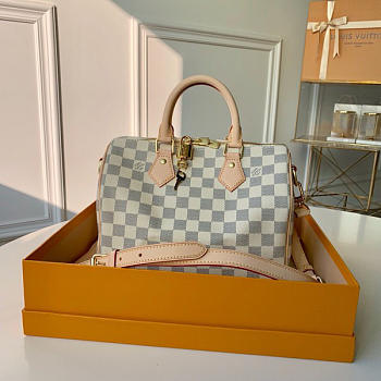 LV Speedy Bandouliere Small Bag 25cm