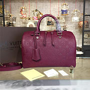 LV Speedy Bag With Wine Red 30cm - 1