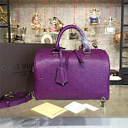 LV Speedy Bag With Purple 30cm - 1