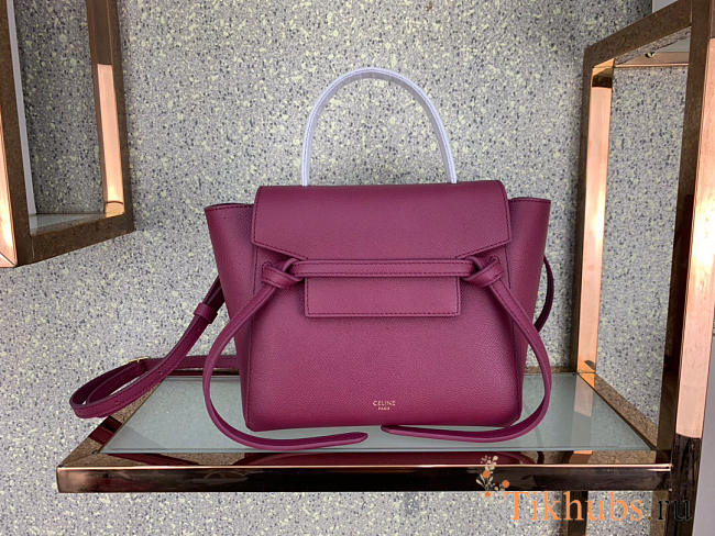 Celine Micro Belt Bag In Grained Calfskin 20cm 175519 - 1