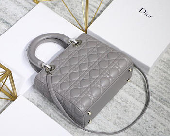 modishbags  Dior Leather Gray Handbag With Silver Hardware