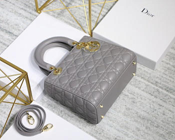 	modishbags Dior Leather Gray Handbag With Gold Hardware