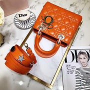 Modishbags Dior Leather Orange Handbag - 5