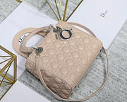 Modishbags Dior Leather Light Pink Handbag With Sliver Hardware - 2