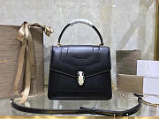 Modishbags Serpenti Forever  Wrist organ bag in Black - 2