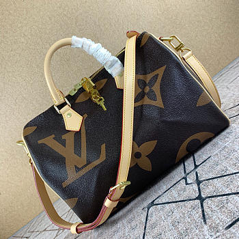 LV Pillow Bag Retro Series M41112