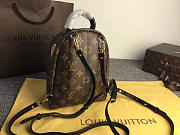 Louis Vuitton Palm Springs Mini Canvas Leather Backpack M41562 - 2