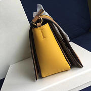 Celine Frame Yellow and Khaki Tote bag - 5