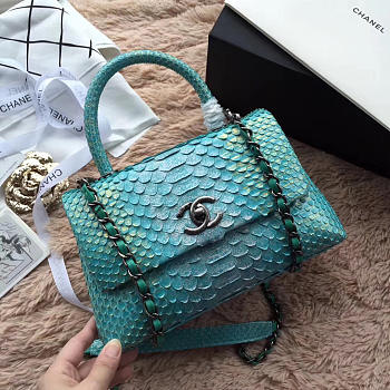 Chanel Snake skin Handle bag Light Green