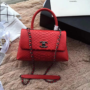 Chanel Snake skin Handle bag Red