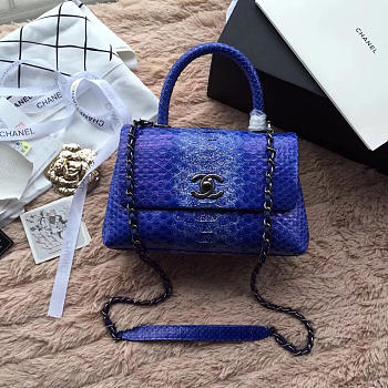 Chanel Snake skin Handle bag Blue