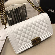 Chanel Leboy Lambskin Bag in White with Gold Hardware 67086 - 5