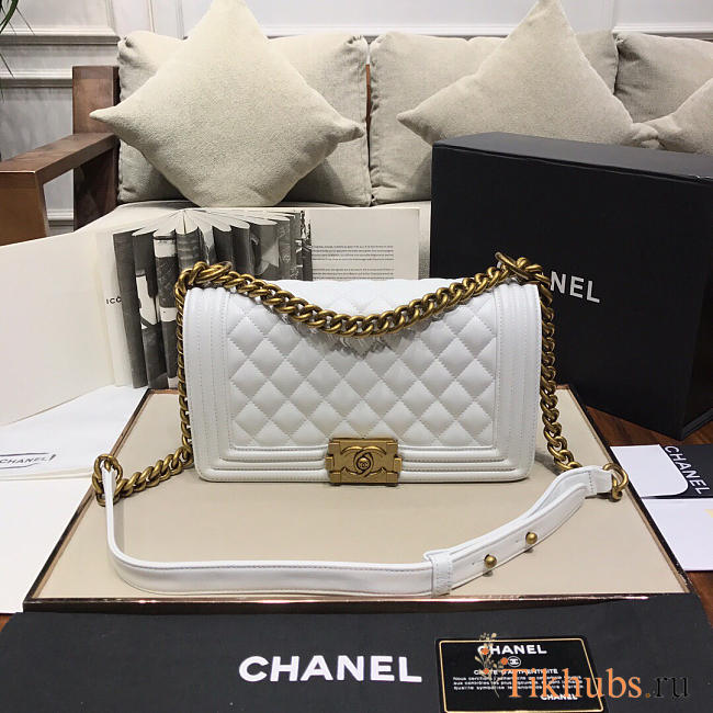 Chanel Leboy Lambskin Bag in White with Gold Hardware 67086 - 1