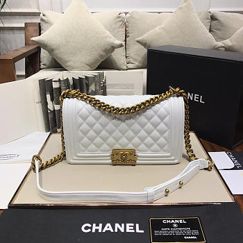 Chanel Leboy Lambskin Bag in White with Gold Hardware 67086