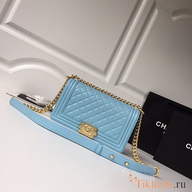 Chanel Leboy lambskin Bag in Blue With Gold Hardware 67086 - 1