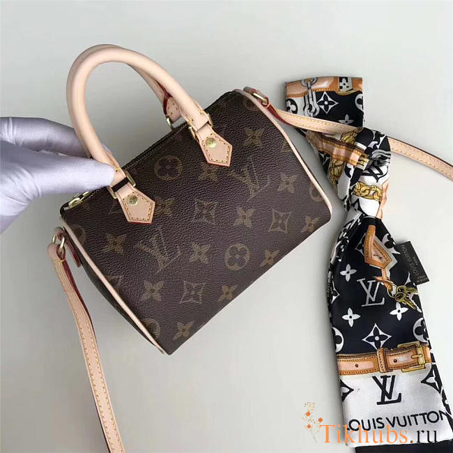 Lv NANO SPEEDY handbag - 1