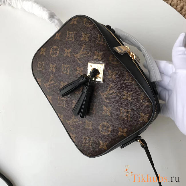 LV original camera bag M43559 black - 1