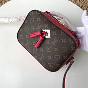 LV original camera bag M43559 rose red - 1