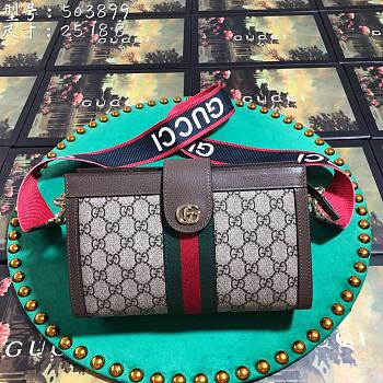 Gucci shoulder bag 503899