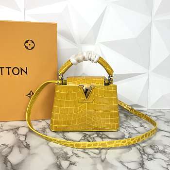 LV N94227 Capucines Mini handbag