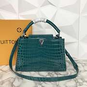 LV N93163 Capucines Small handbag - 1