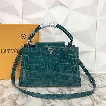 LV N93163 Capucines Small handbag