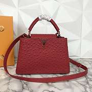 LV M95393 Ostrich skin handbag mini - 3