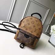 LV Monogram Canvas mini Backpack - 2