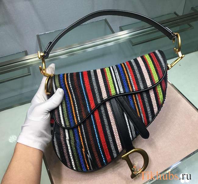 Dior Saddle ama Embroidered rainbow beads - 1