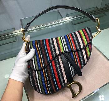 Dior Saddle ama Embroidered rainbow beads