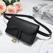 Dior Saddle Waistband Saddle bag - 3