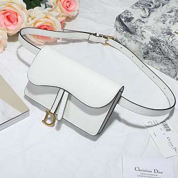 Dior Saddle Waistband Saddle bag