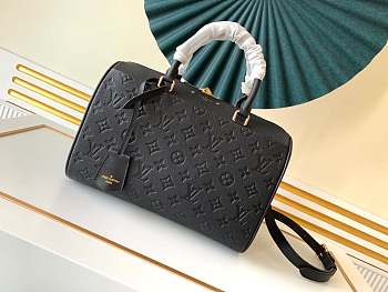 LV Speedy Bag With Black 30cm