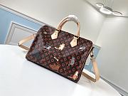 LV Speedy Bandouliere Catogram M44401 Size 30x21x17 cm - 5