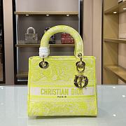 DIOR CD LADY 21 Fluorescent Color 9027 Size 24×20×11cm - 1