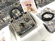 LADY DIOR Embroidered Destiny Beads Cattle Leather M0565 Size 24x20x11 cm - 1