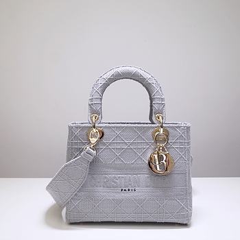 Dior Lady D-Lite Gray 44532 Size 24x20x11 cm