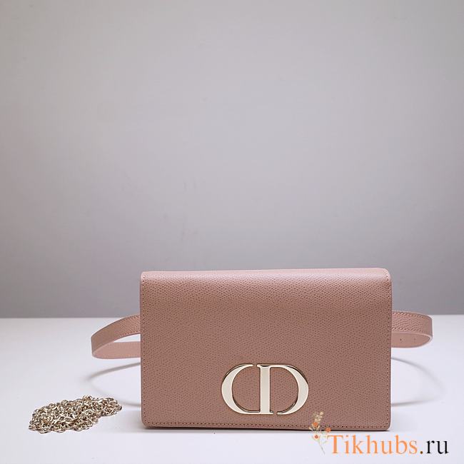 Dior Montaigne Waist Bag WOC 2-in-1 Pink 9909 Size 19x12.5x4 cm - 1