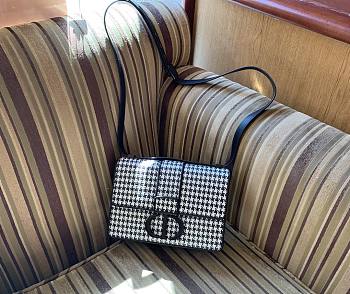 Dior 30 Montaigne Palm Print Series Black/White Size 24x17x8 cm