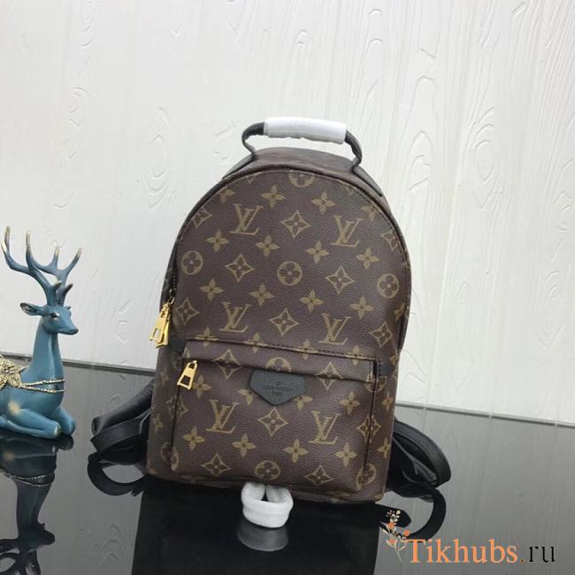 Louis Vuitton Palm Springs Backpack PM M41560 Size 20x31x10 cm - 1