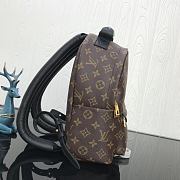 Louis Vuitton Palm Springs Backpack PM M41560 Size 20x31x10 cm - 3