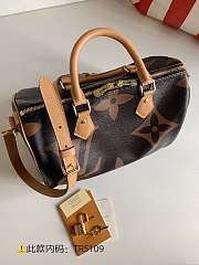 LV Speedy Latest Big Pillow Bag M44340 Size 30 - 5