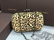 Bottega Veneta Chain Original Horse Hair 8600 Size 20 x 12 x 5 cm - 1