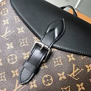 Louis Vuitton Palk Monogram Macassar Canvas M40637 Size 35 x 45 x 15 cm - 2