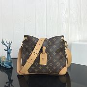 Louis Vuitton Odéon PM LV M45354 Size 26 x 21 x 8 cm - 1