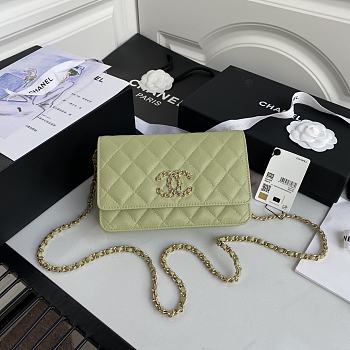 Chanel Woc Green AP1794 Size 19 cm