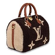 LV Teddy Speedy Bandoulière 25 M55422 Size 30 x 21 x 17 cm - 3