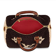 LV Teddy Speedy Bandoulière 25 M55422 Size 30 x 21 x 17 cm - 2