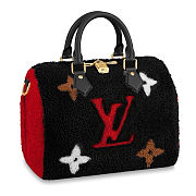 LV Teddy Speedy Bandoulière 25 M55423 Size 30 x 21 x 17 cm - 1