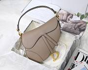 Dior Saddle Warm Taupe M9001 Size 25.5 x 20 x 6.5 cm - 1